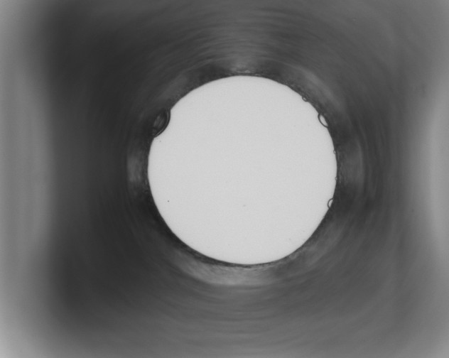 X0000100770044200807171421