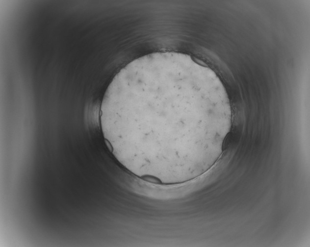 X0000100770047200807171421