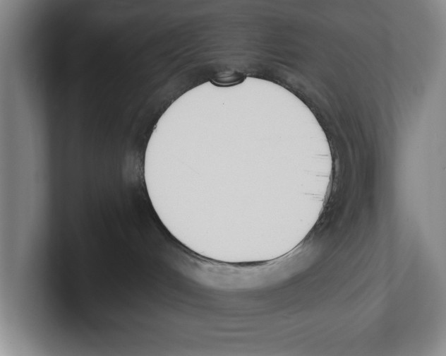 X0000100770048200807171421