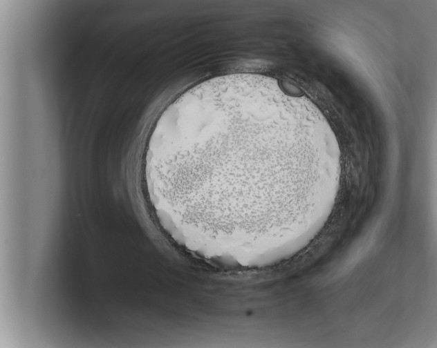X0000100770049200807171420