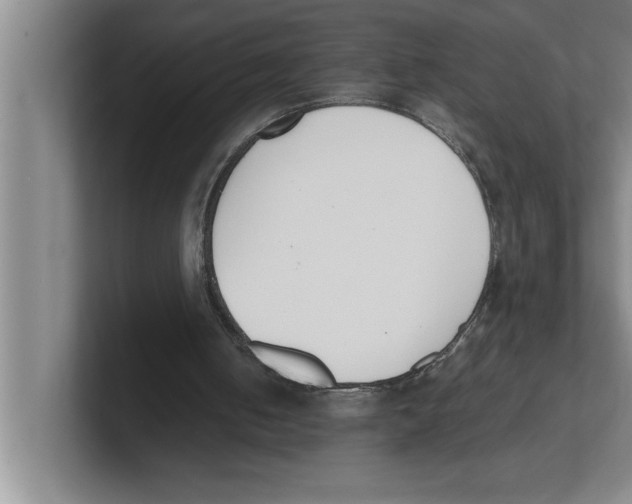 X0000100770050200807171420