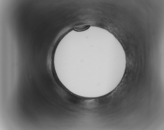 X0000100770054200807171420