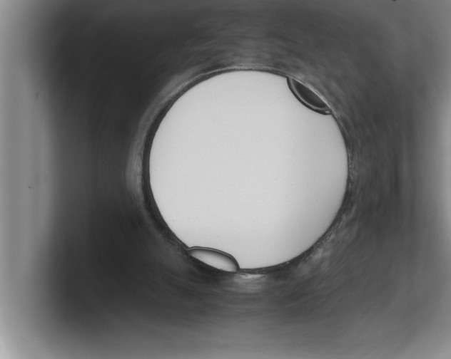 X0000100770055200807171420