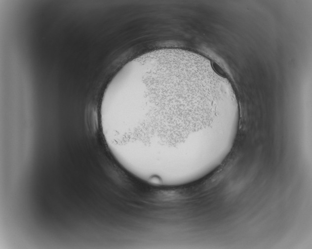 X0000100770061200807171420