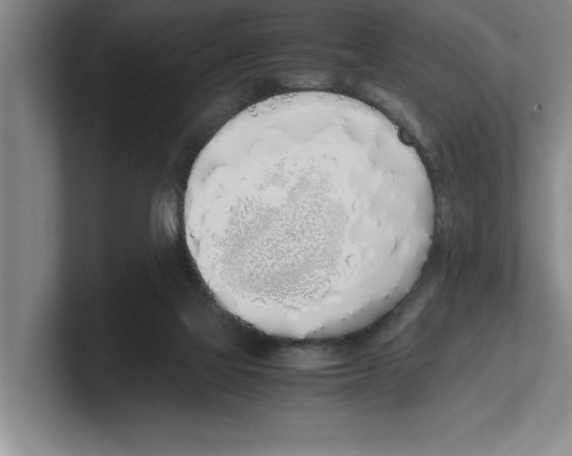 X0000100770069200807171421
