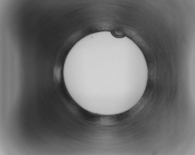 X0000100770070200807171421