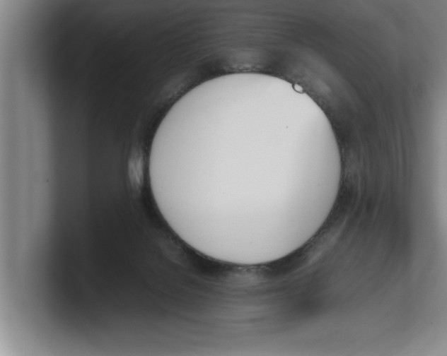 X0000100770076200807171421