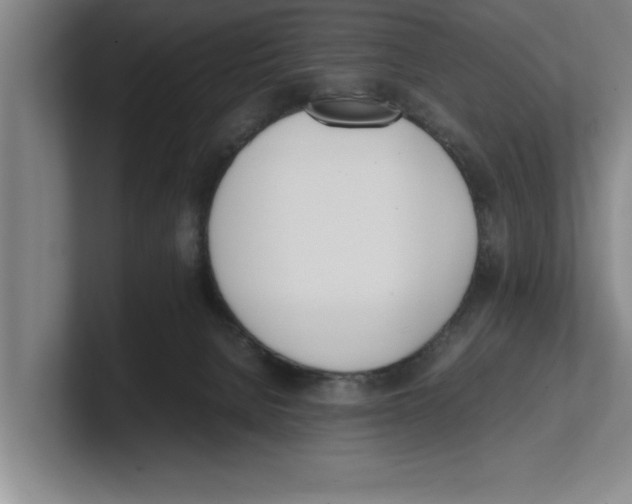 X0000100770080200807171421