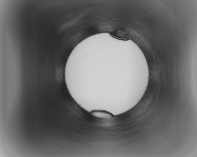 X0000100770081200807171421