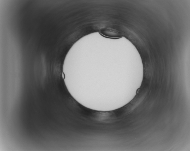 X0000100770085200807171421