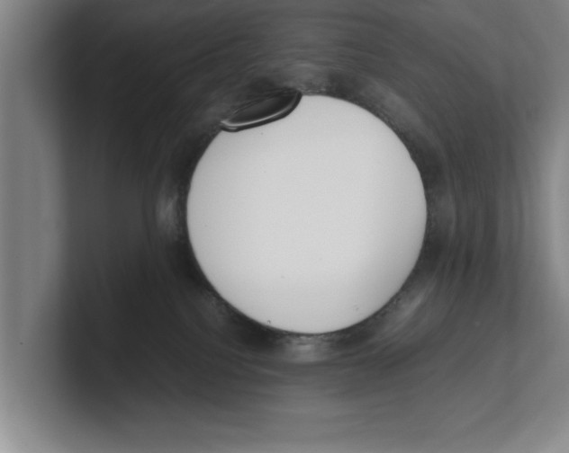 X0000100770088200807171421