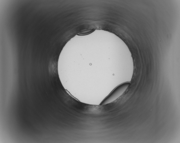 X0000100770096200807171421