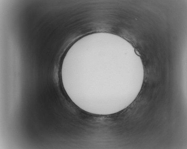 X0000100770098200807171420