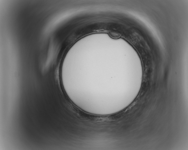 X0000100770099200807171420