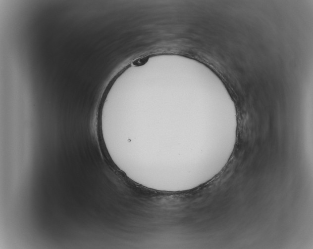 X0000100770100200807171420