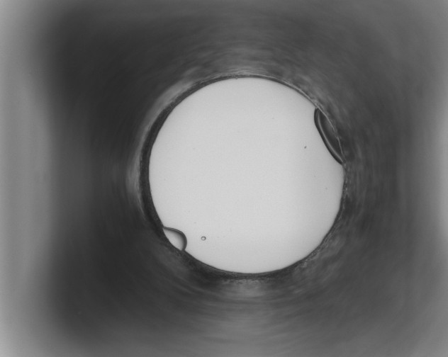 X0000100770104200807171420