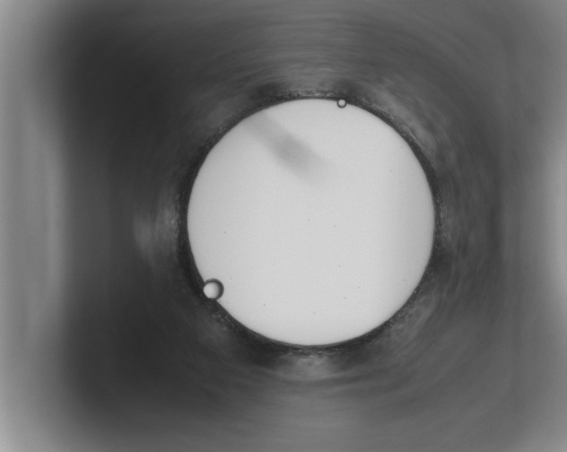 X0000100770113200807171420