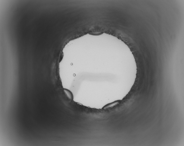 X0000100770144200807171420