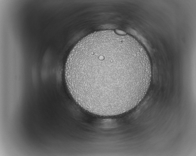 X0000100770153200807171419
