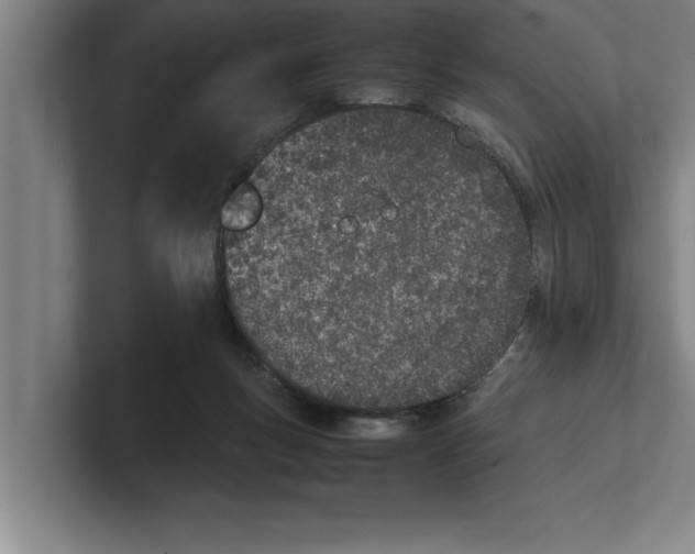 X0000100770167200807171419