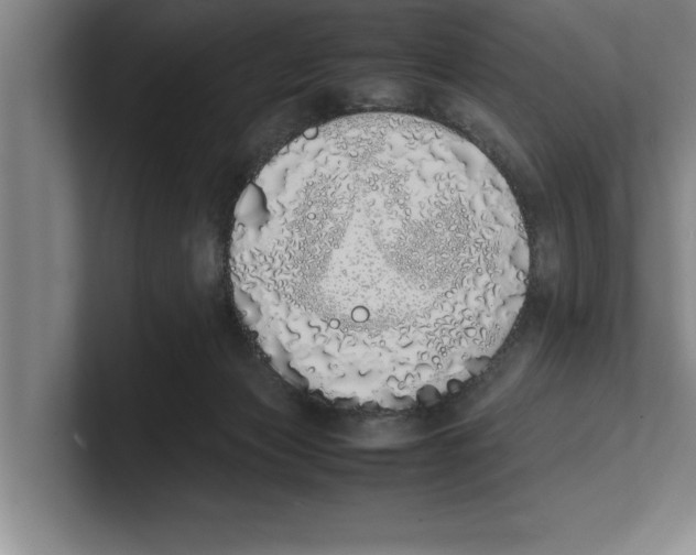 X0000100770173200807171419