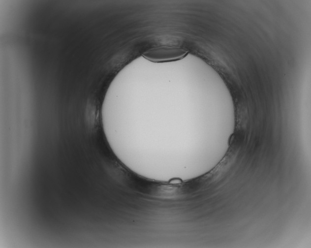 X0000100770176200807171419