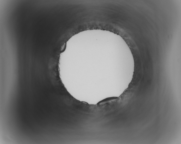 X0000100770192200807171420