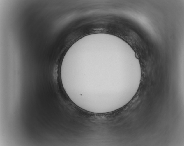 X0000100770194200807171419