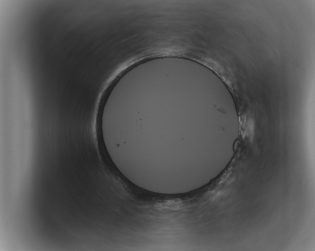 X0000100770196200807171419
