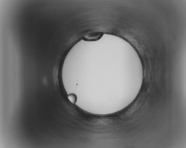 X0000100770201200807171419