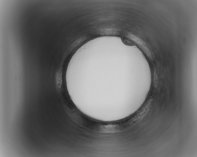 X0000100770202200807171419