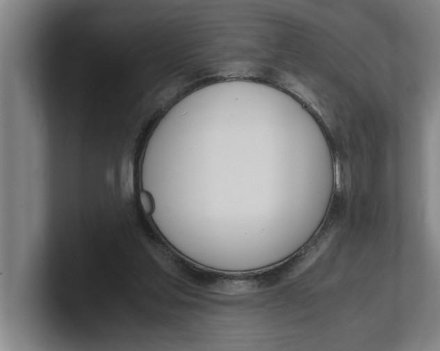 X0000100770205200807171419