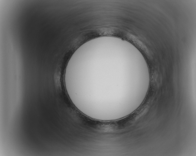 X0000100770209200807171419