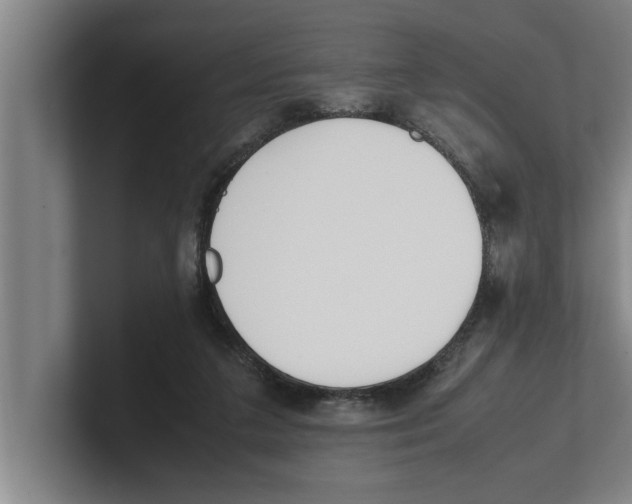 X0000100770211200807171419