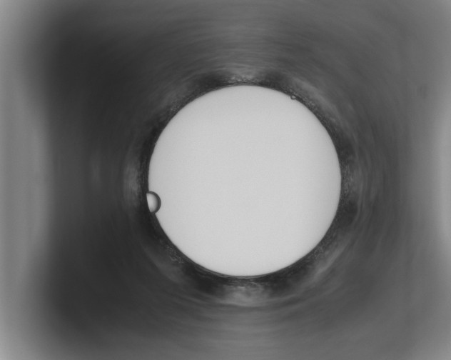 X0000100770215200807171419