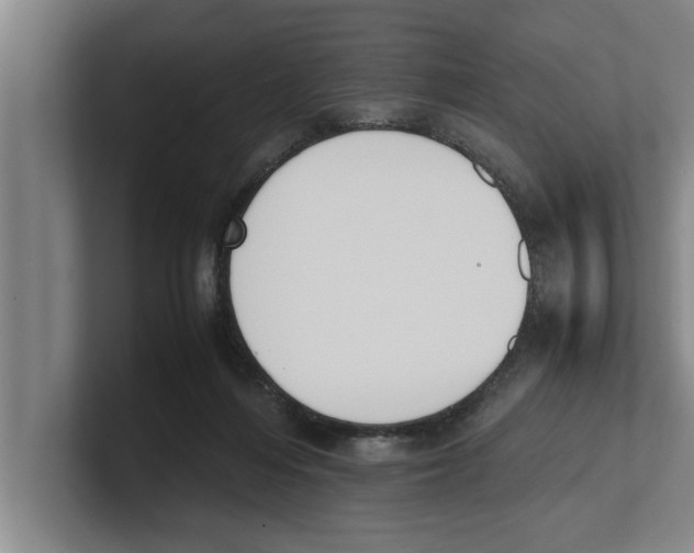 X0000100770216200807171419