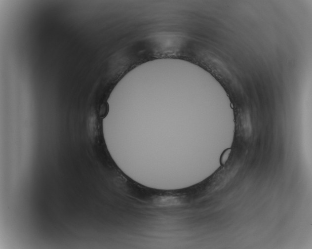 X0000100770224200807171418