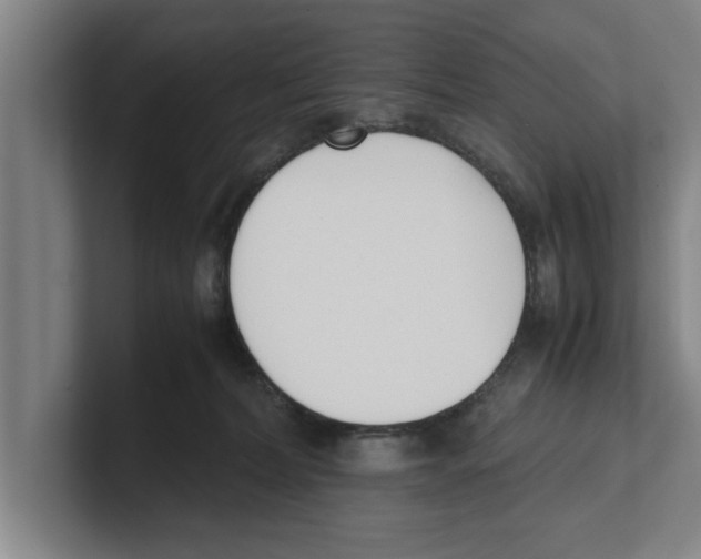 X0000100770228200807171418