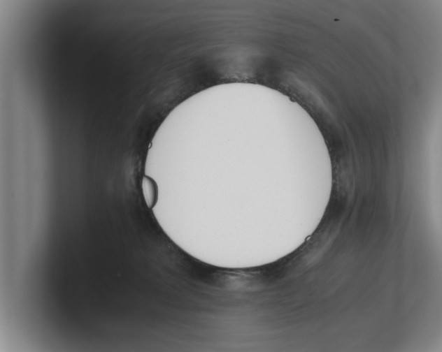 X0000100770229200807171418