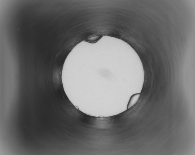 X0000100770240200807171418