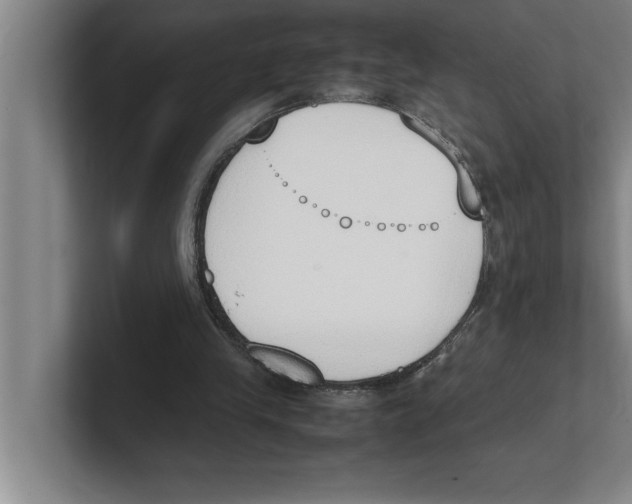 X0000100770245200807171418