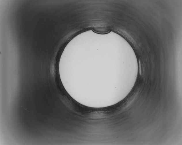 X0000100770252200807171418
