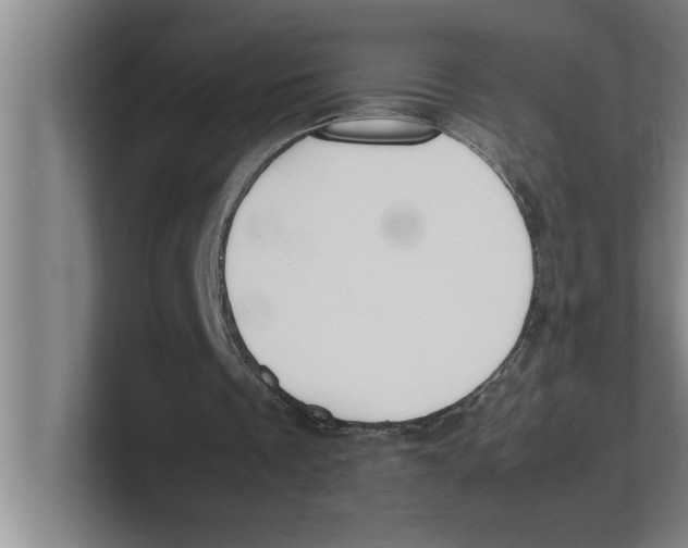 X0000100770289200807171418