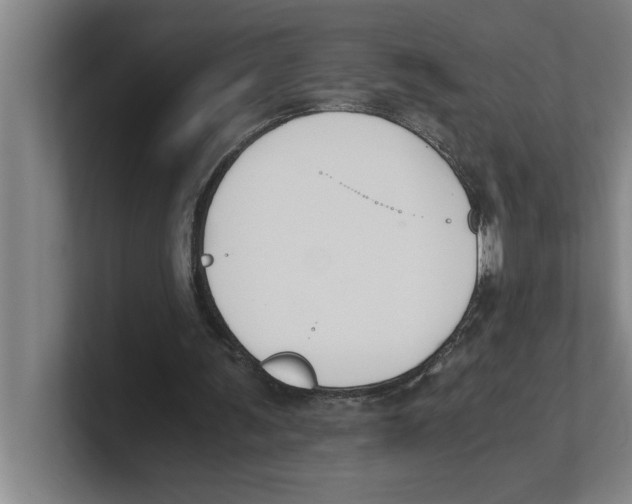 X0000100770291200807171417