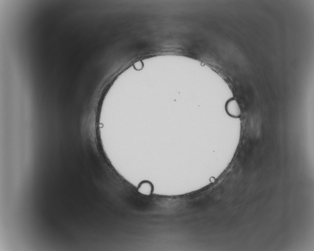 X0000100770293200807171417