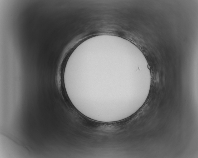 X0000100770294200807171417