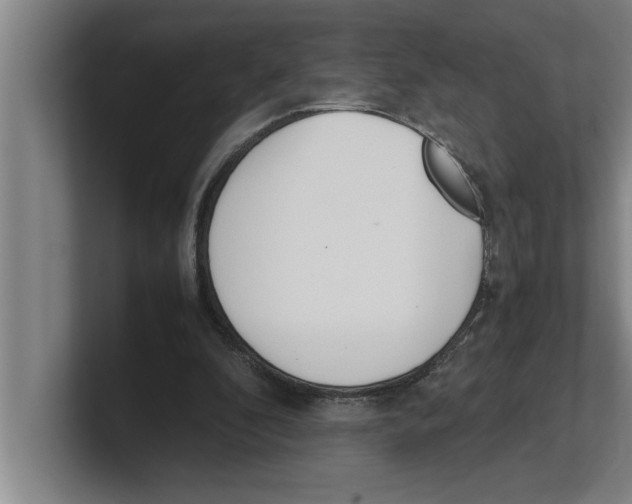 X0000100770296200807171417