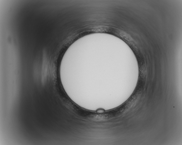 X0000100770303200807171417