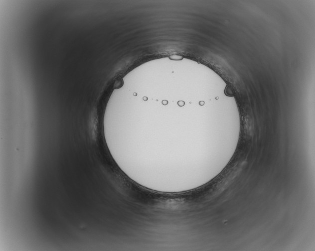 X0000100770304200807171417