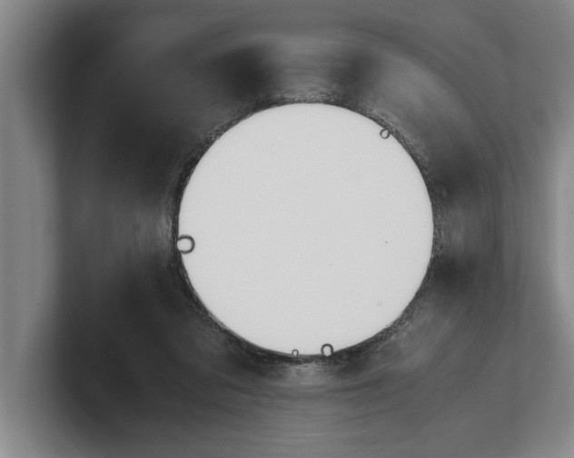X0000100770309200807171417